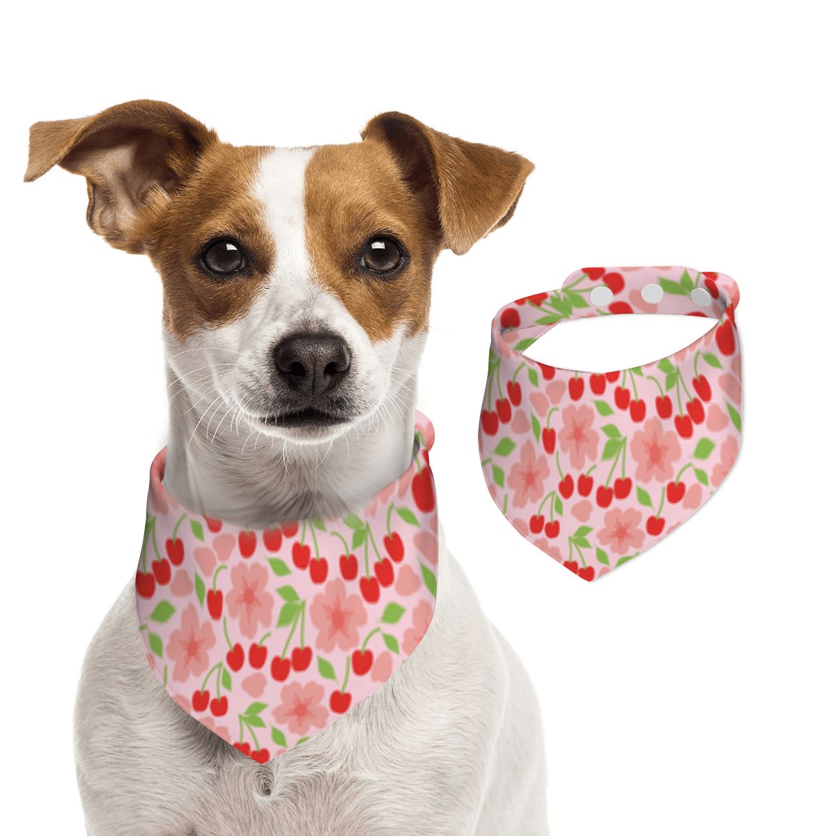 Pet Cotton Snap Bandana