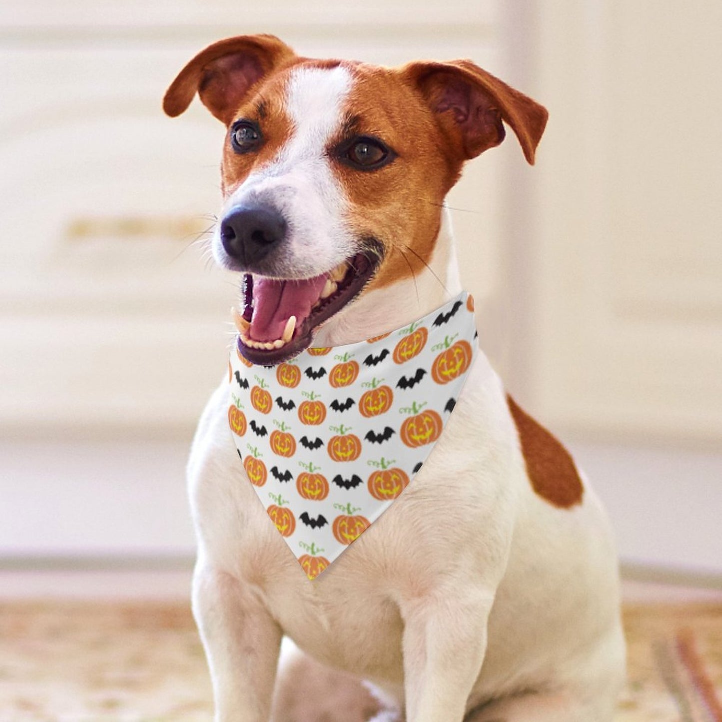 Pet Tie-On Bandana