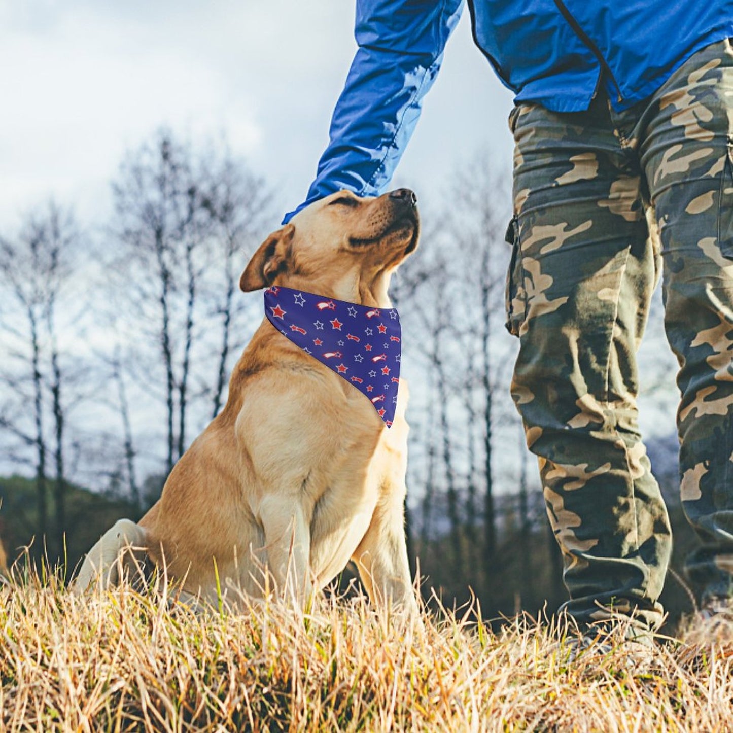 Pet Tie-On Bandana