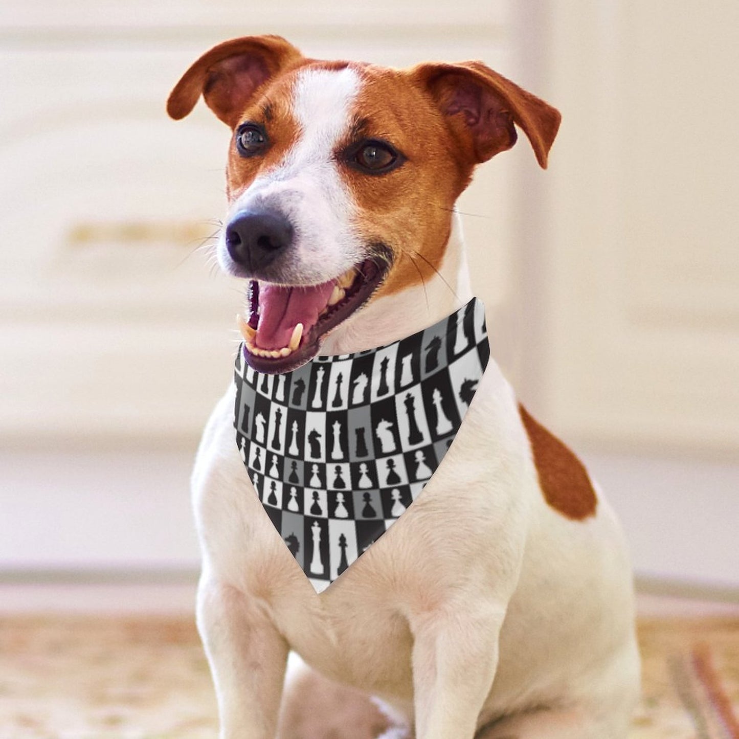 Pet Tie-On Bandana