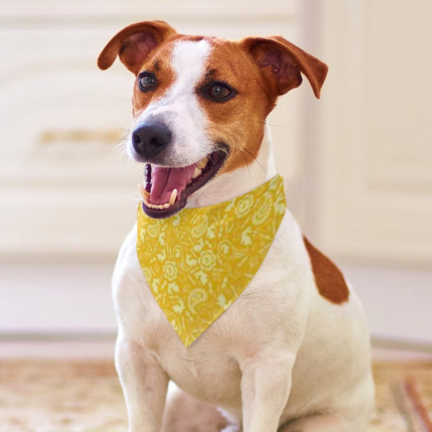 Pet Tie-On Bandana