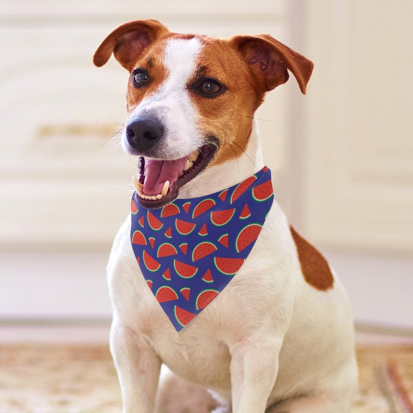 Pet Tie-On Bandana