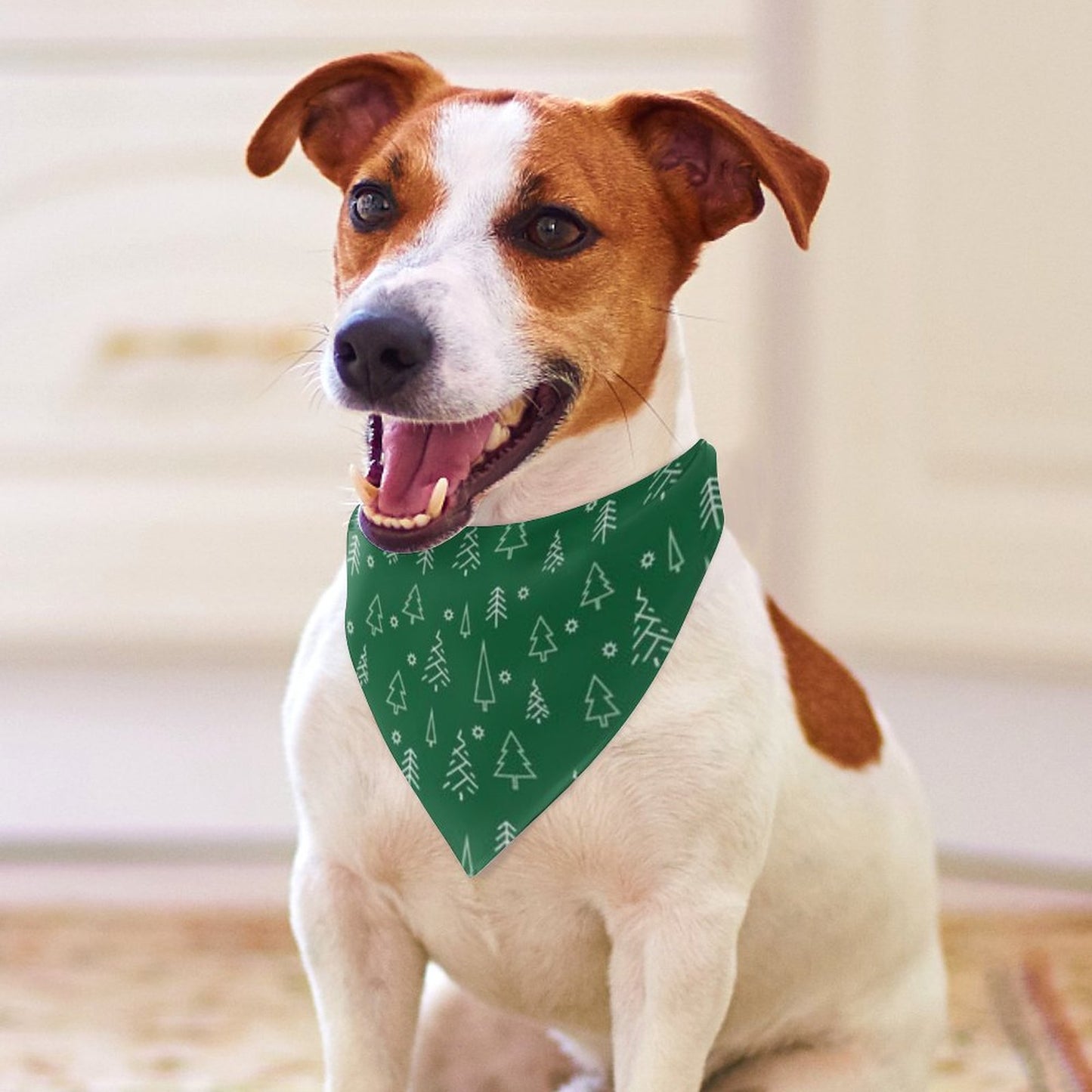 Pet Tie-On Bandana
