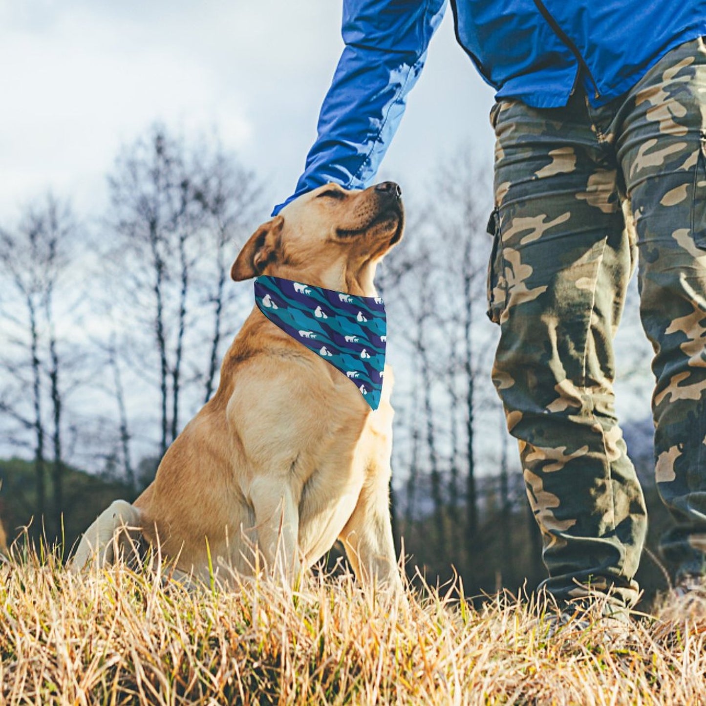 Pet Tie-On Bandana