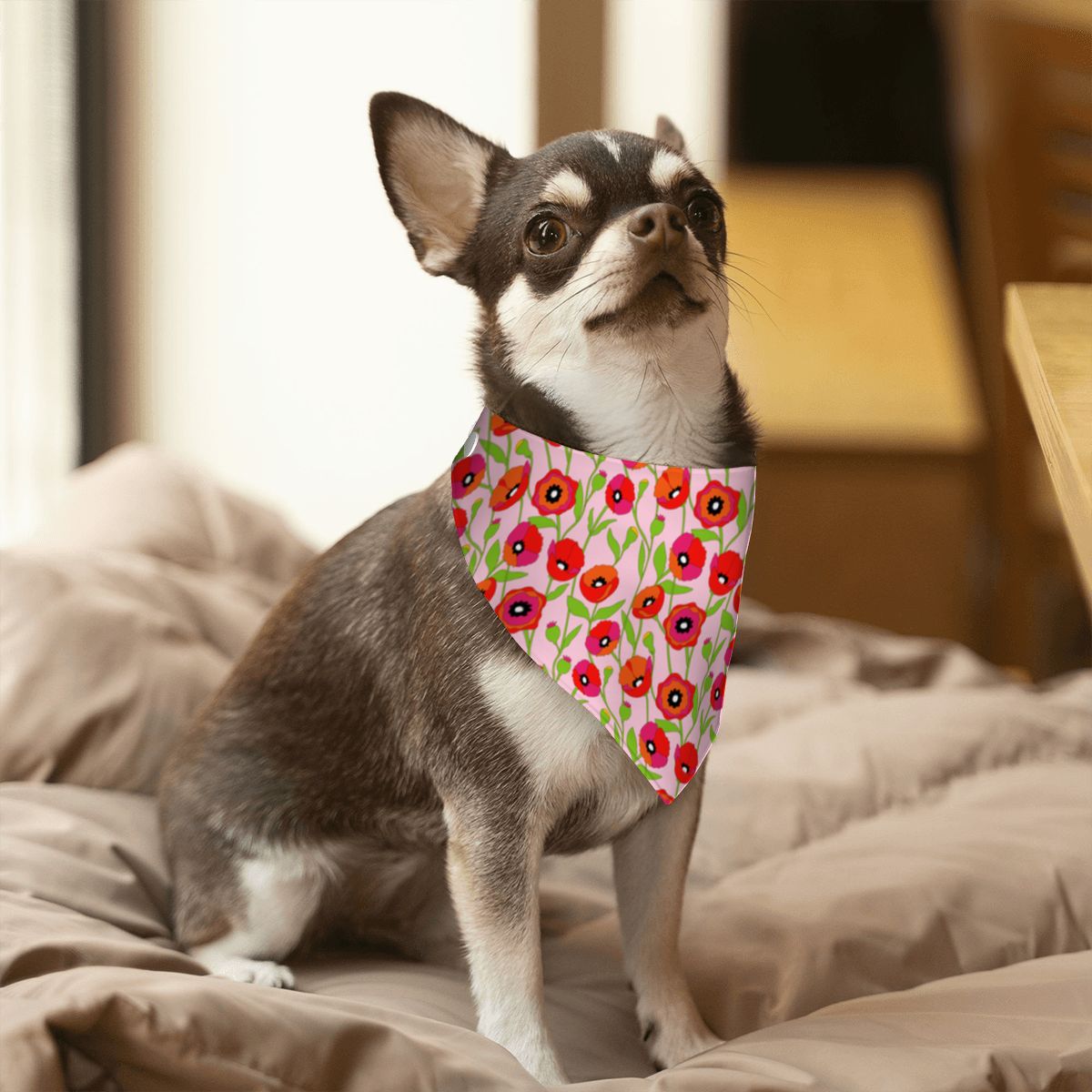 Pet Cotton Snap Bandana