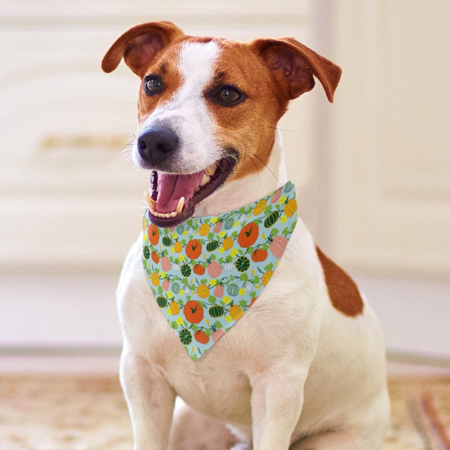 Pet Tie-On Bandana