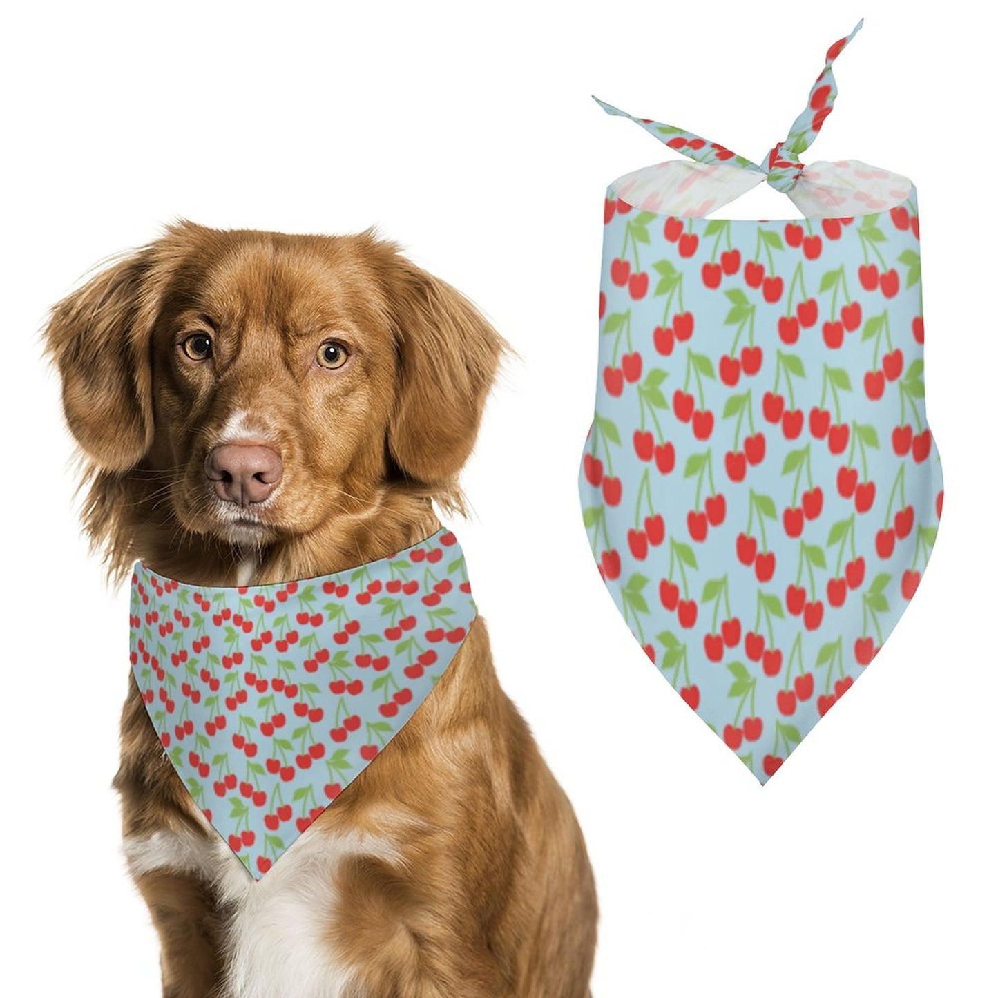 Pet Tie-On Bandana