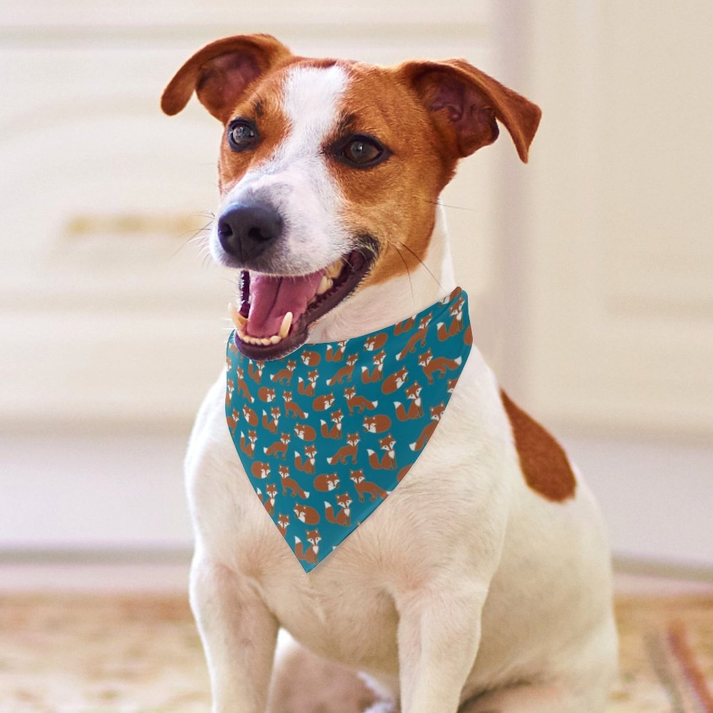 Pet Tie-On Bandana