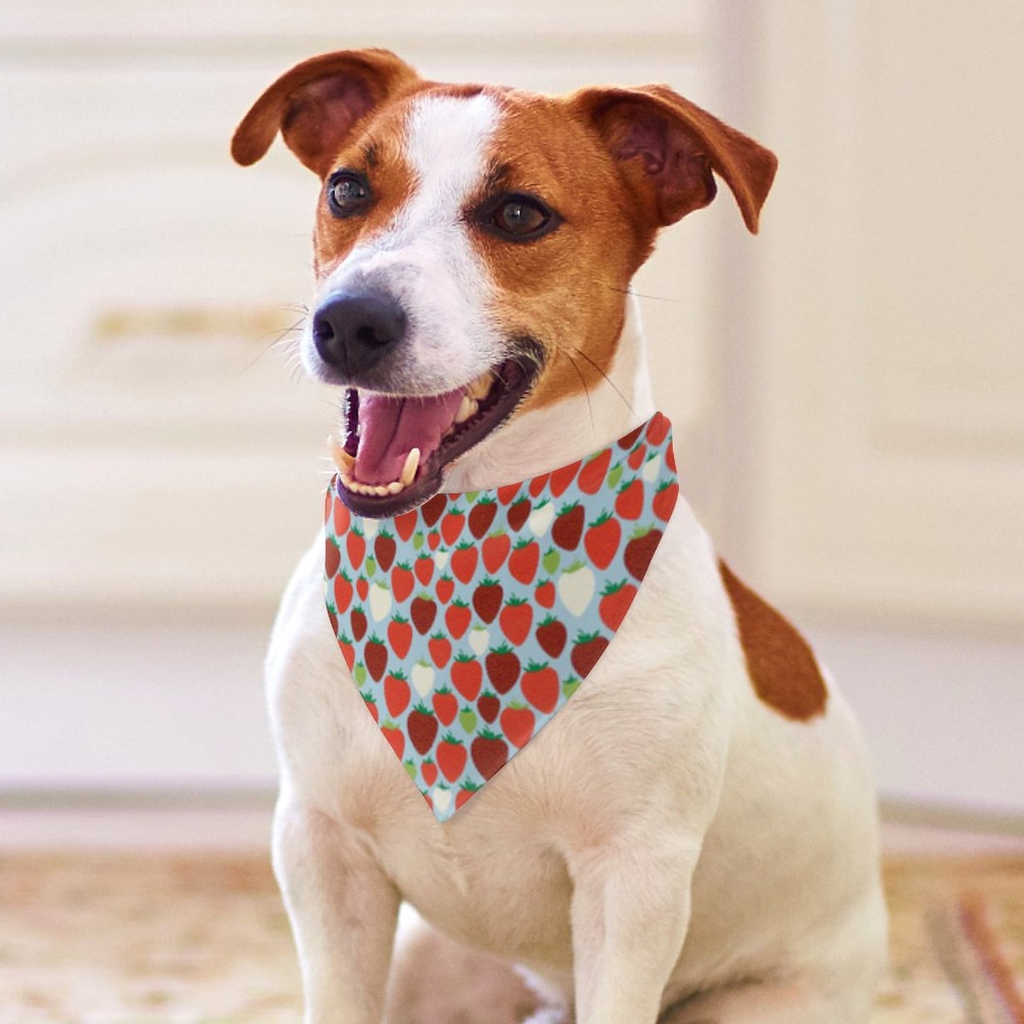 Pet Tie-On Bandana