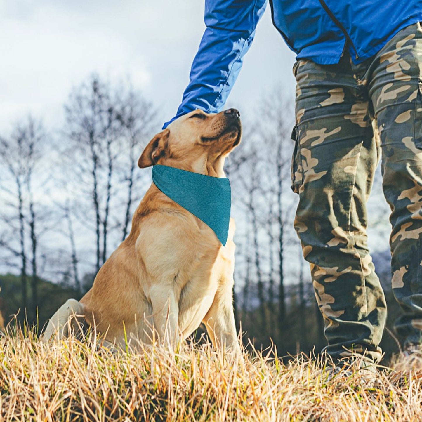 Pet Bandana