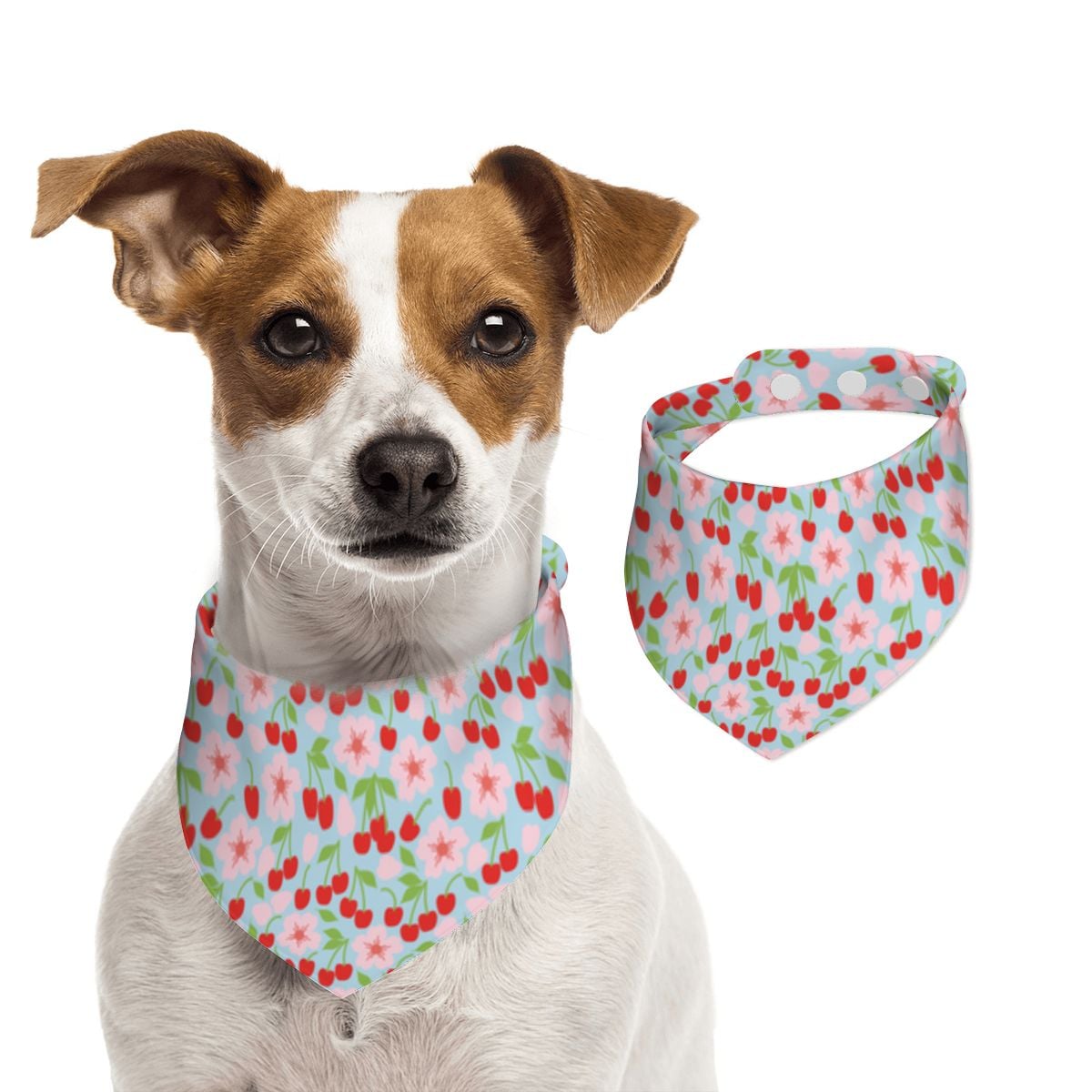 Pet Cotton Snap Bandana