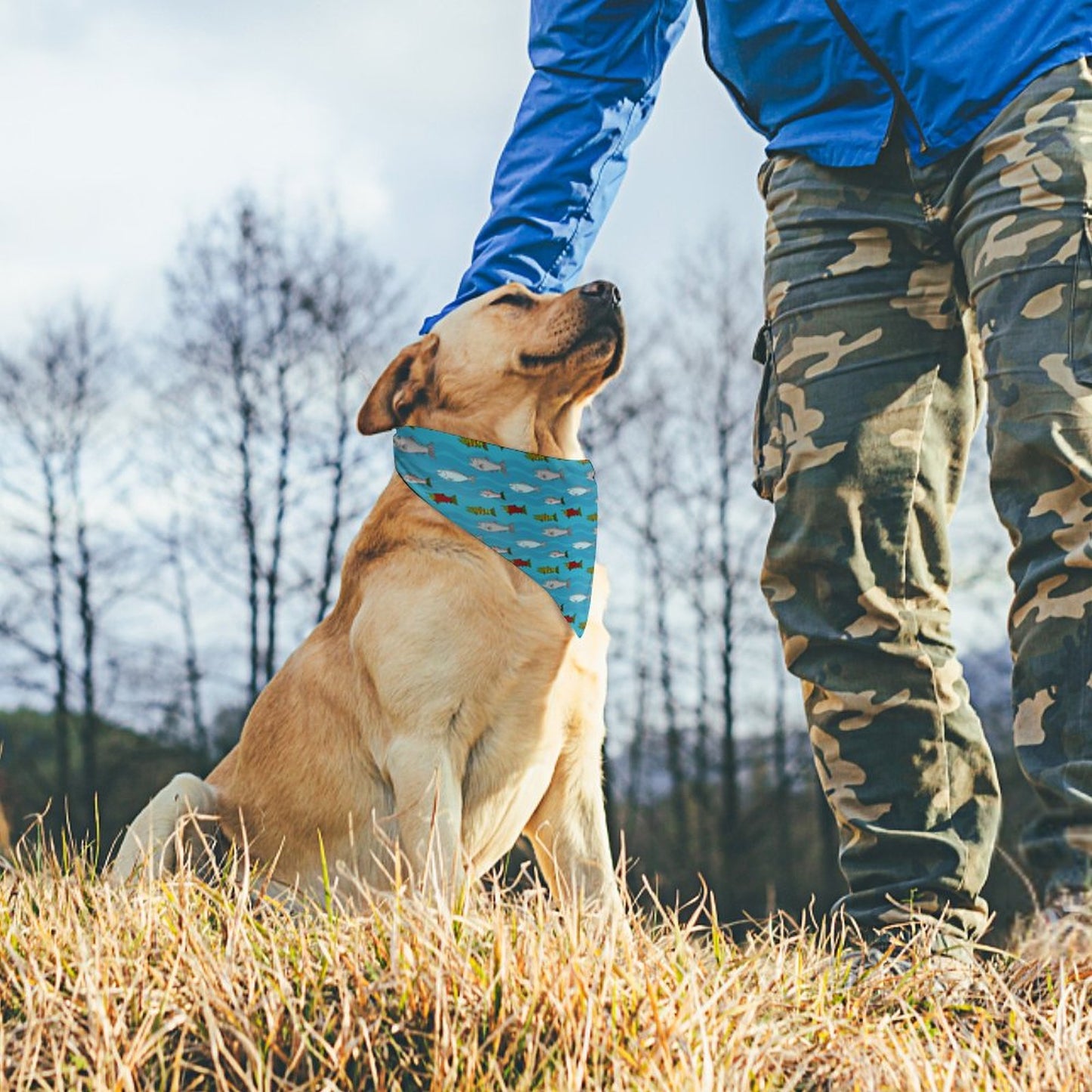 Pet Bandana