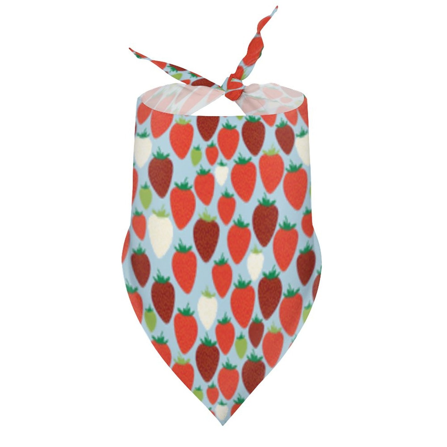Pet Tie-On Bandana