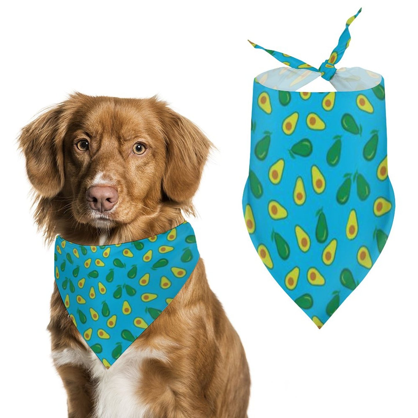 Pet Bandana