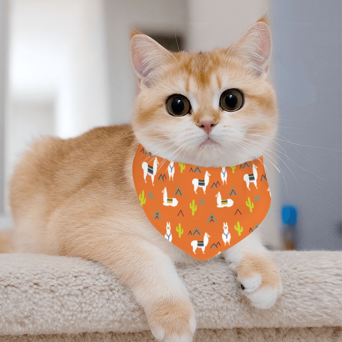 Pet Cotton Snap Bandana