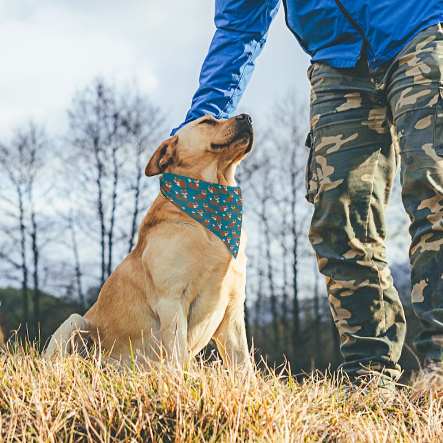 Pet Tie-On Bandana