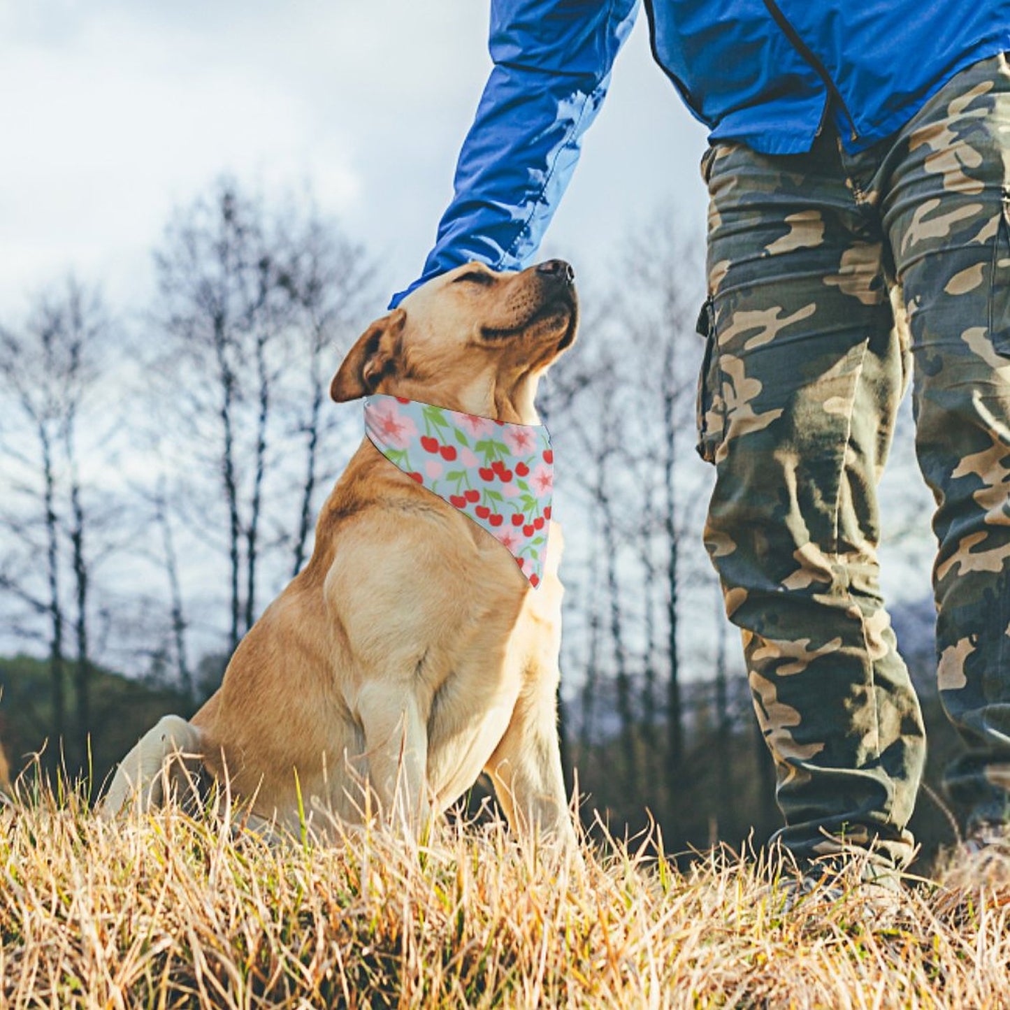 Pet Tie-On Bandana