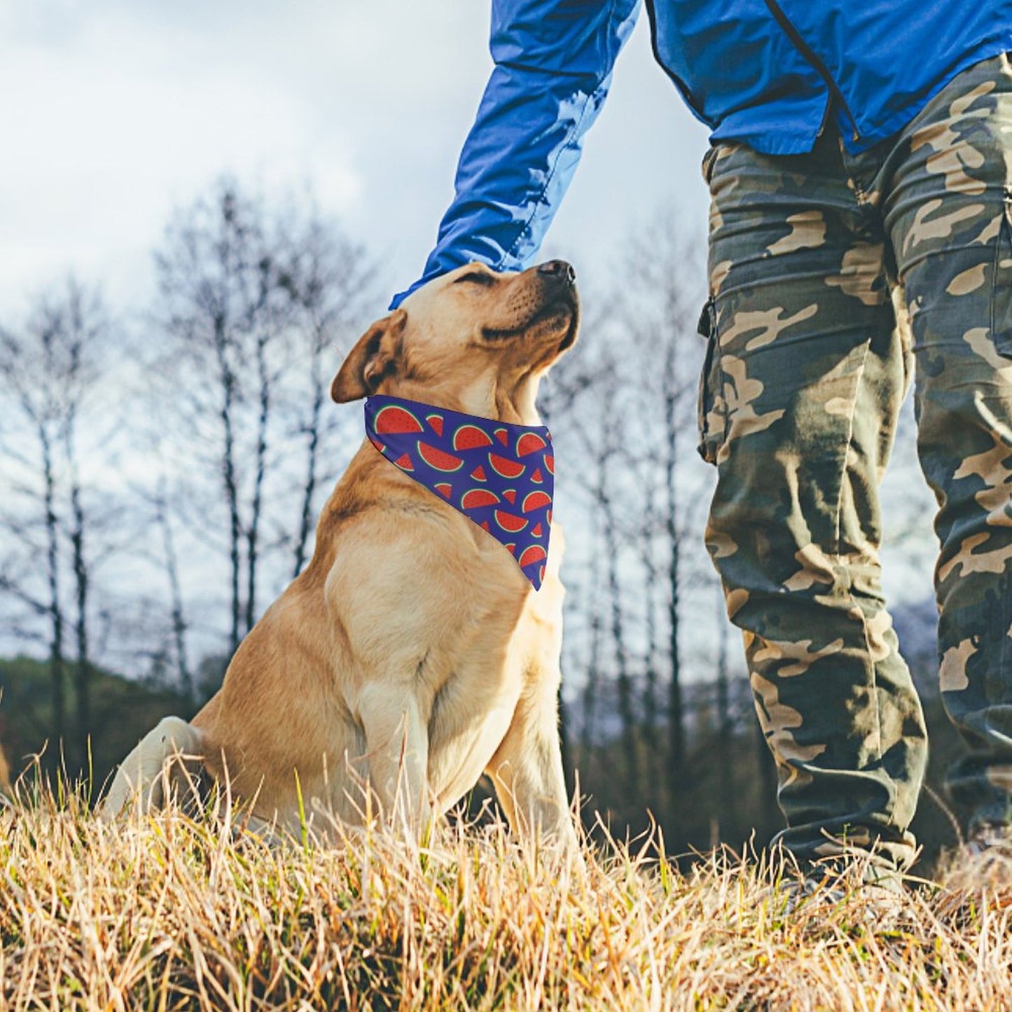 Pet Tie-On Bandana