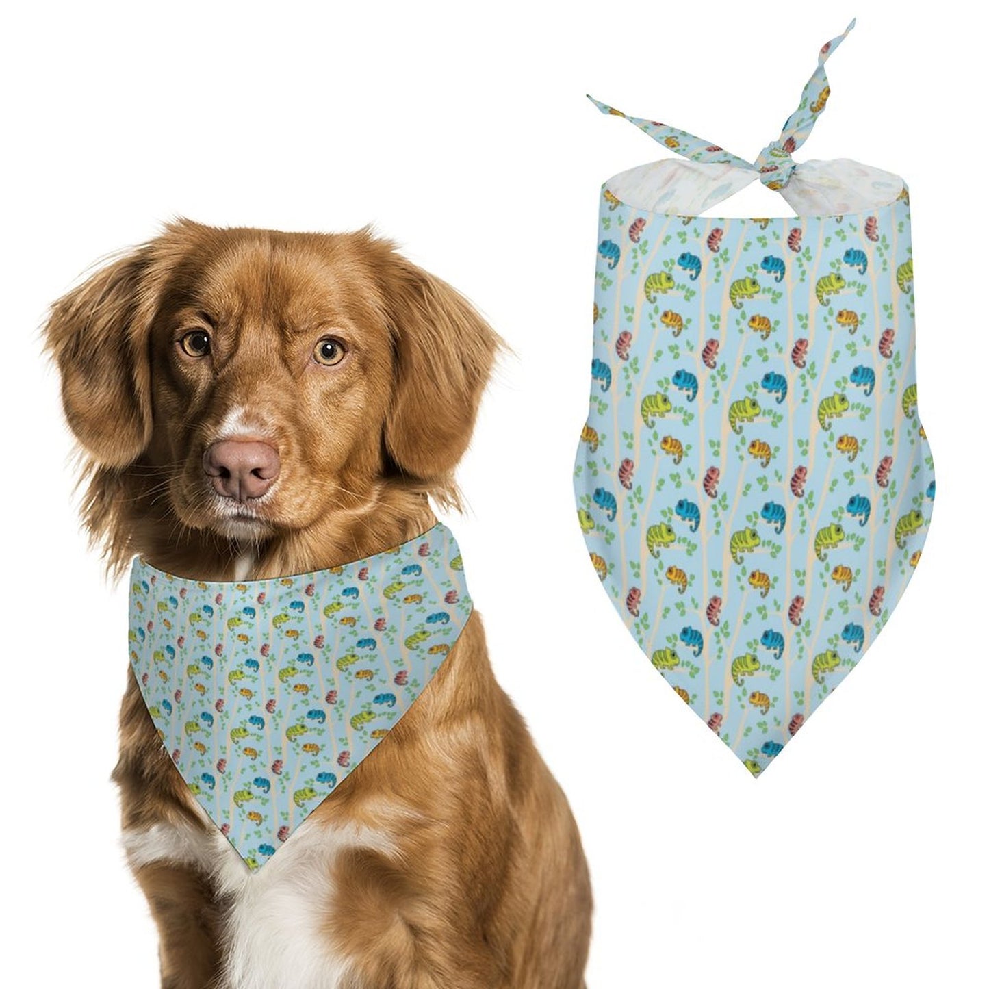 Pet Bandana