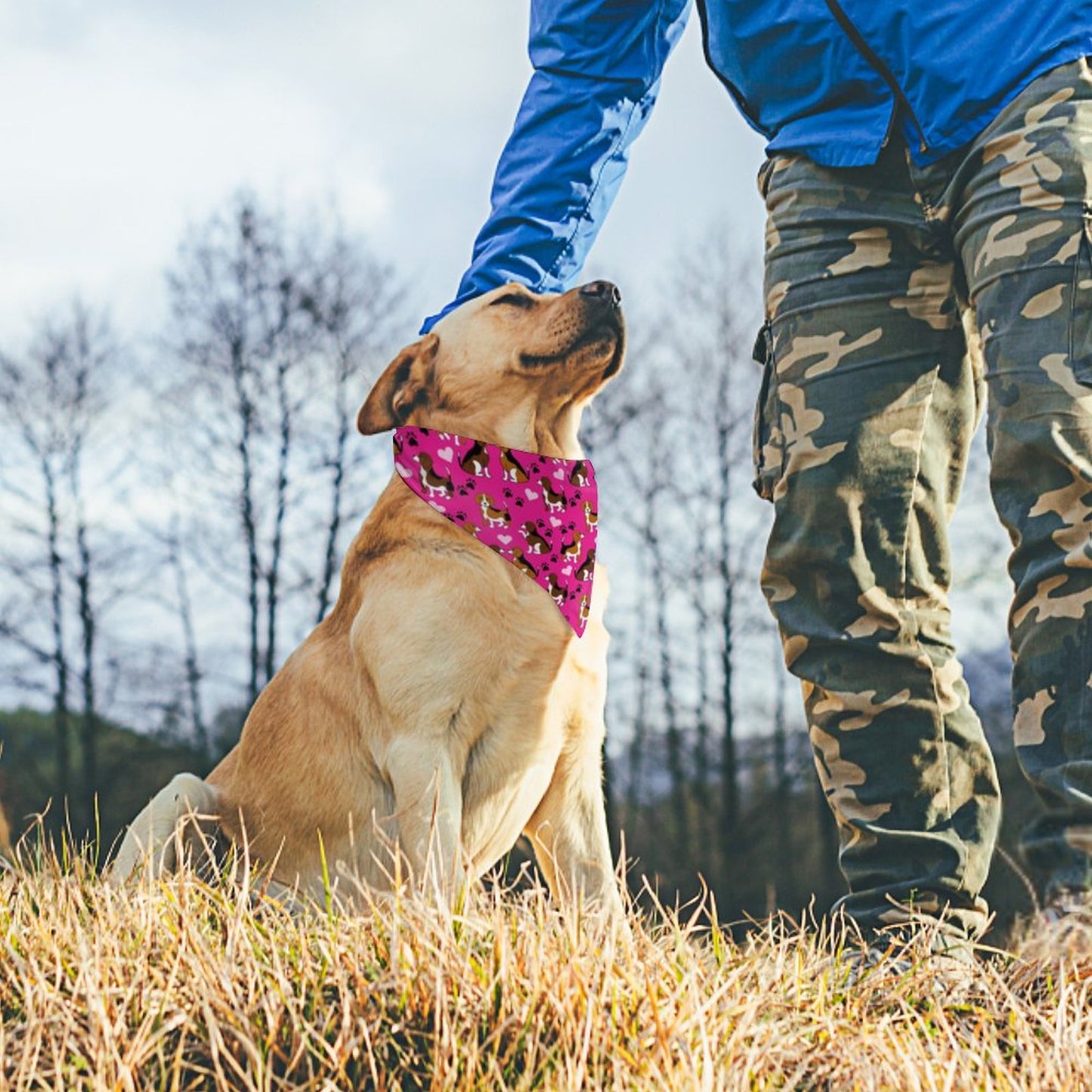 Pet Tie-On Bandana
