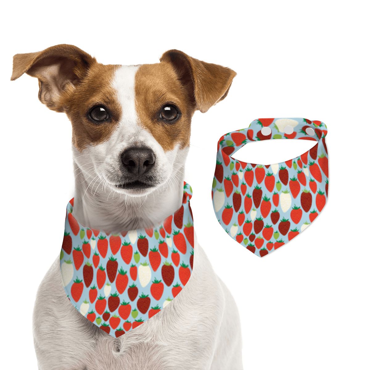Pet Cotton Snap Bandana