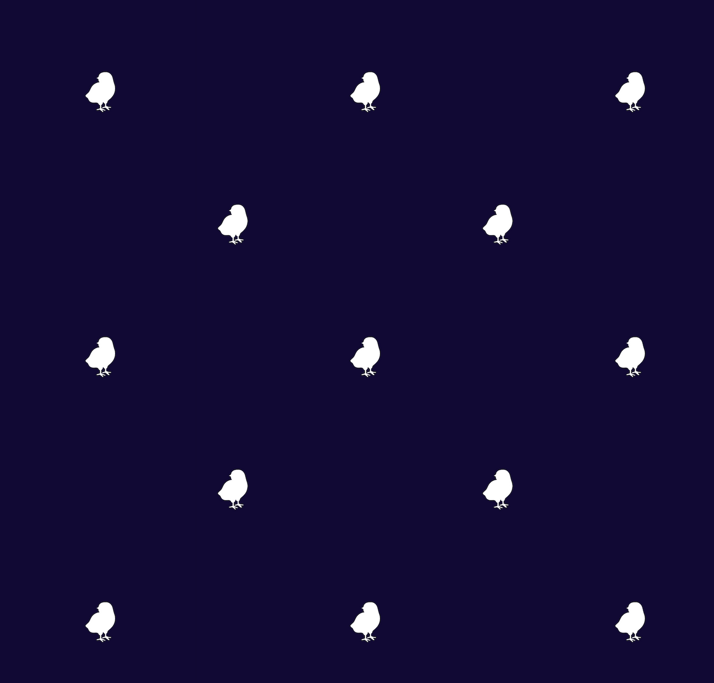 Women's Active Skort